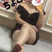 ヒメ日記 2025/07/13 19:39 投稿 ちょこ トマトなび