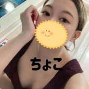 ヒメ日記 2025/07/15 15:12 投稿 ちょこ トマトなび