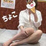 ヒメ日記 2025/07/15 17:15 投稿 ちょこ トマトなび