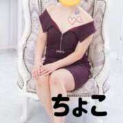 ヒメ日記 2025/07/25 01:55 投稿 ちょこ トマトなび