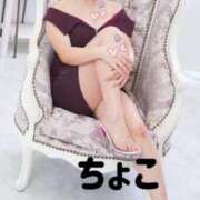 ヒメ日記 2025/07/25 02:07 投稿 ちょこ トマトなび