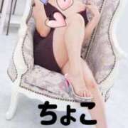 ヒメ日記 2025/07/25 02:24 投稿 ちょこ トマトなび