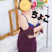 ヒメ日記 2025/07/27 15:27 投稿 ちょこ トマトなび