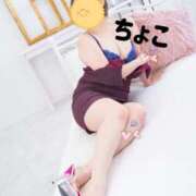 ヒメ日記 2025/07/27 15:41 投稿 ちょこ トマトなび