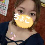 ヒメ日記 2025/09/09 19:44 投稿 ちょこ トマトなび