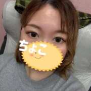 ヒメ日記 2025/09/12 15:30 投稿 ちょこ トマトなび