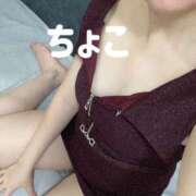 ヒメ日記 2025/09/26 01:42 投稿 ちょこ トマトなび