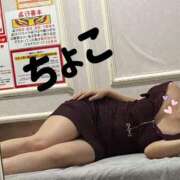 ヒメ日記 2025/10/06 18:42 投稿 ちょこ トマトなび