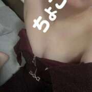 ヒメ日記 2025/10/28 18:34 投稿 ちょこ トマトなび