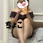 ヒメ日記 2025/10/28 19:58 投稿 ちょこ トマトなび