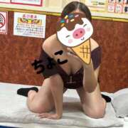 ヒメ日記 2025/10/31 21:38 投稿 ちょこ トマトなび