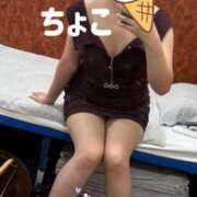 ヒメ日記 2025/10/31 23:37 投稿 ちょこ トマトなび