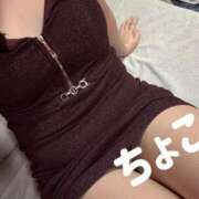 ヒメ日記 2025/12/31 01:03 投稿 ちょこ トマトなび