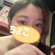 ヒメ日記 2025/12/31 02:06 投稿 ちょこ トマトなび