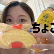 ヒメ日記 2026/01/23 20:38 投稿 ちょこ トマトなび