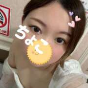 ヒメ日記 2026/01/29 16:37 投稿 ちょこ トマトなび