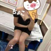 ヒメ日記 2026/02/13 14:32 投稿 ちょこ トマトなび