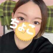 ちょこ 出勤してます トマトなび