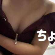 ヒメ日記 2026/02/28 21:28 投稿 ちょこ トマトなび