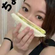 ヒメ日記 2026/03/26 17:53 投稿 ちょこ トマトなび