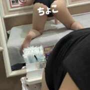 ヒメ日記 2026/03/30 15:20 投稿 ちょこ トマトなび