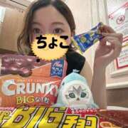 ヒメ日記 2026/03/30 16:30 投稿 ちょこ トマトなび