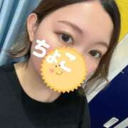 ヒメ日記 2026/03/31 18:03 投稿 ちょこ トマトなび