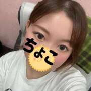 ヒメ日記 2026/04/19 15:17 投稿 ちょこ トマトなび