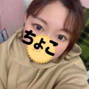 ヒメ日記 2026/04/27 18:05 投稿 ちょこ トマトなび