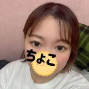 ヒメ日記 2026/04/28 15:30 投稿 ちょこ トマトなび