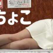 ヒメ日記 2026/04/30 00:36 投稿 ちょこ トマトなび