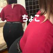 ヒメ日記 2026/05/26 16:08 投稿 ちょこ トマトなび