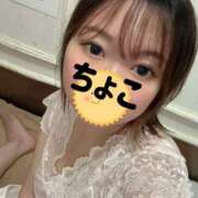 ちょこ 出勤です トマトなび