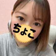 ちょこ 出勤です トマトなび