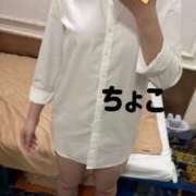 ヒメ日記 2026/06/30 00:23 投稿 ちょこ トマトなび