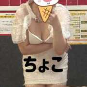 ヒメ日記 2026/07/11 02:12 投稿 ちょこ トマトなび