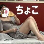 ヒメ日記 2026/07/14 03:29 投稿 ちょこ トマトなび