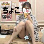ヒメ日記 2026/07/22 15:25 投稿 ちょこ トマトなび