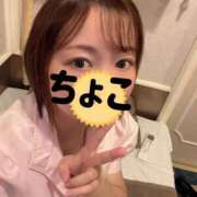 ちょこ 出勤です トマトなび