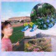 ヒメ日記 2025/06/17 07:11 投稿 紺野　ななみ 川崎南町人妻高級ソープ エル・カーヒル(ELCURHIL)秘密の刻