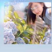 ヒメ日記 2025/06/23 18:21 投稿 紺野　ななみ 川崎南町人妻高級ソープ エル・カーヒル(ELCURHIL)秘密の刻