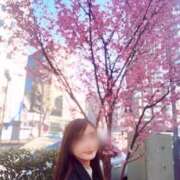 ヒメ日記 2026/03/01 23:06 投稿 紺野　ななみ 川崎南町人妻高級ソープ エル・カーヒル(ELCURHIL)秘密の刻