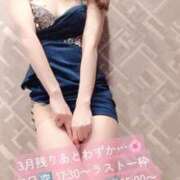 紺野　ななみ 🌸ご予約状況🌸 川崎南町人妻高級ソープ エル・カーヒル(ELCURHIL)秘密の刻