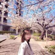 紺野　ななみ 🌸帰りに桜🌸 川崎南町人妻高級ソープ エル・カーヒル(ELCURHIL)秘密の刻