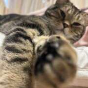 ヒメ日記 2025/04/24 17:55 投稿 みお ジャパンクラブ富士