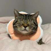 ヒメ日記 2025/05/02 17:42 投稿 みお ジャパンクラブ富士