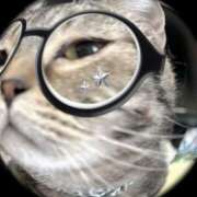 ヒメ日記 2025/10/22 17:52 投稿 みお ジャパンクラブ富士