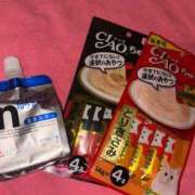 ヒメ日記 2025/11/23 13:30 投稿 みお ジャパンクラブ富士