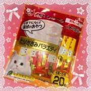 ヒメ日記 2025/12/12 18:27 投稿 みお ジャパンクラブ富士