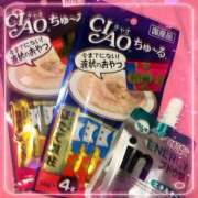 ヒメ日記 2025/12/30 11:42 投稿 みお ジャパンクラブ富士